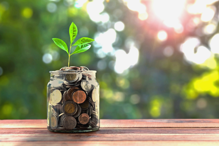meer geld in je leven manifesteren