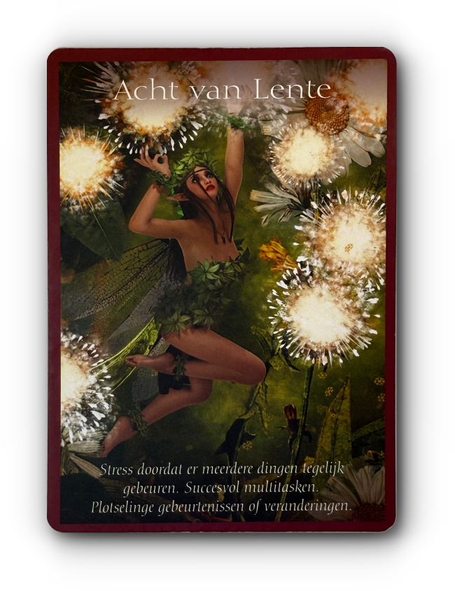 elfen tarot kaart betekenis 1