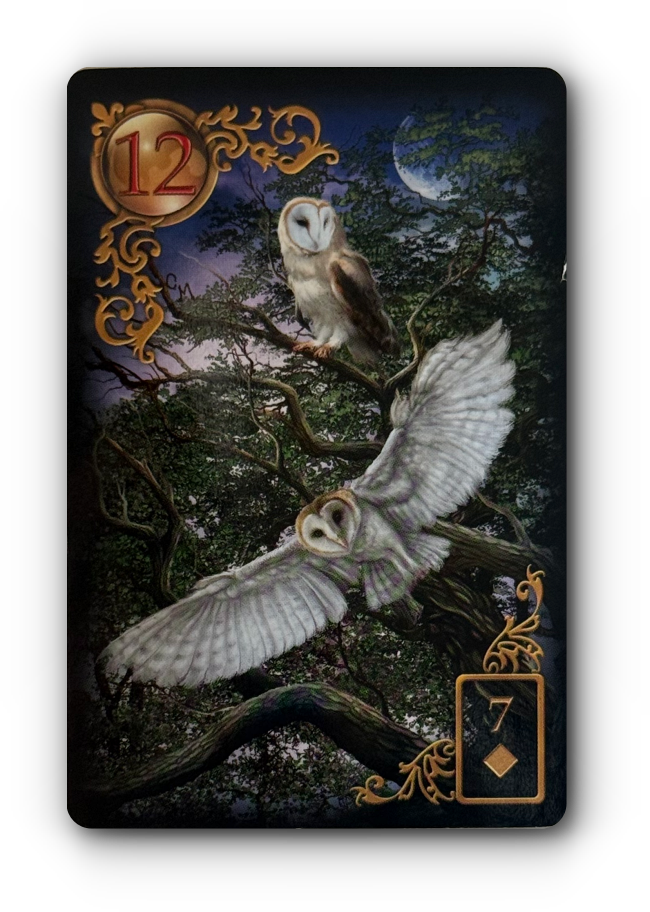 lenormand dagkaart 1