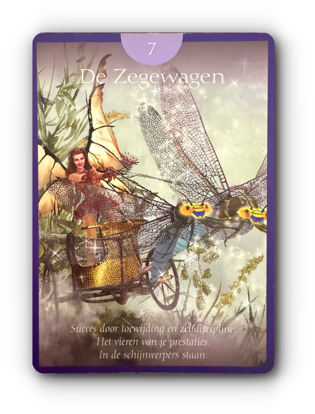 tarot kaart betekenis de zegewagen