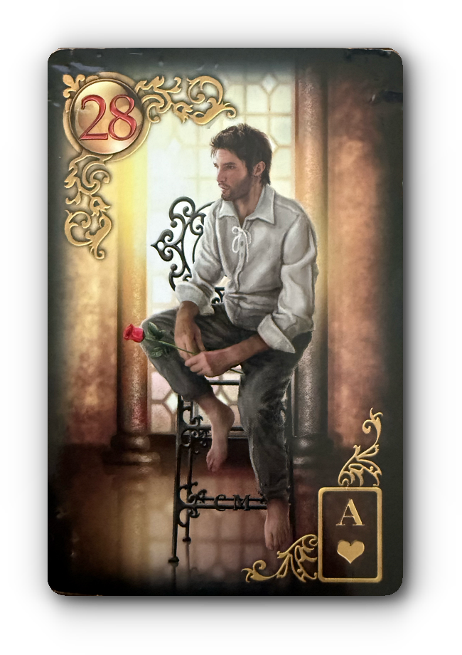 lenormand kaart 28 de man betekenis kaart twee