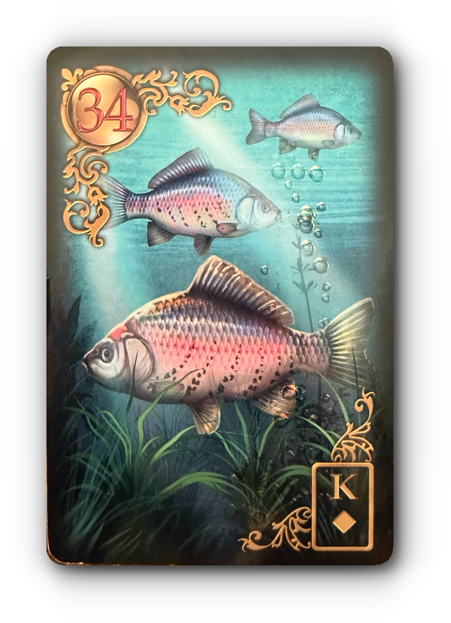 lenormand kaart betekenis vissen